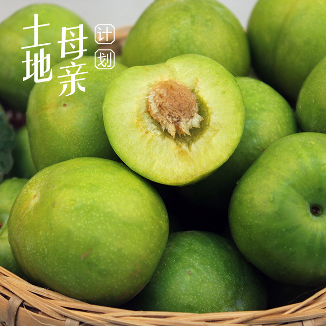 土地母亲计划 阿坝州青脆李 5斤装