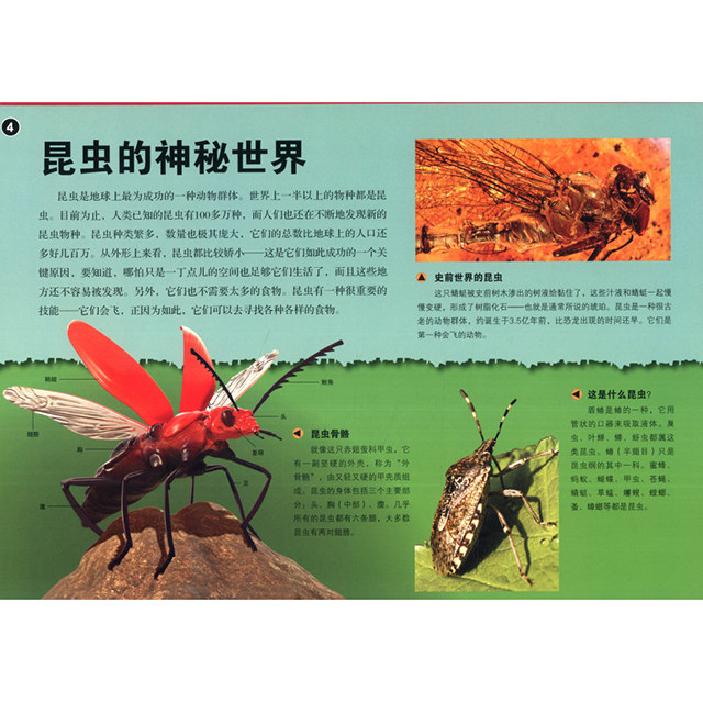 超级炫酷3d立体大百科:昆虫王国大探秘(适合4-10岁,英国顶级立体书