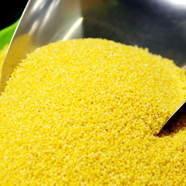 新疆天山富硒小米 1000g一袋(2袋一组)