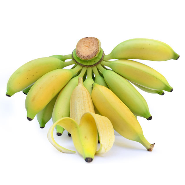 皇帝蕉5斤 新鲜水果香蕉 小米蕉 帝王蕉