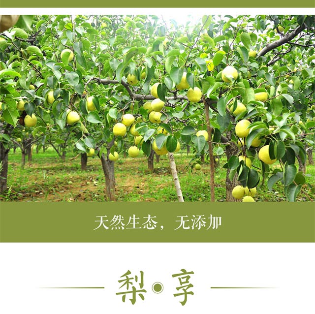 野农优品 陕西大荔早酥梨5斤装