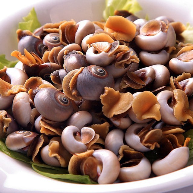 御和岛 烟台鲜活香螺1000g 当日海捕