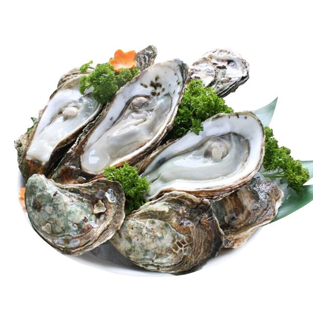 御和岛 新鲜鲜活生蚝1000g 当日海捕顺丰包邮