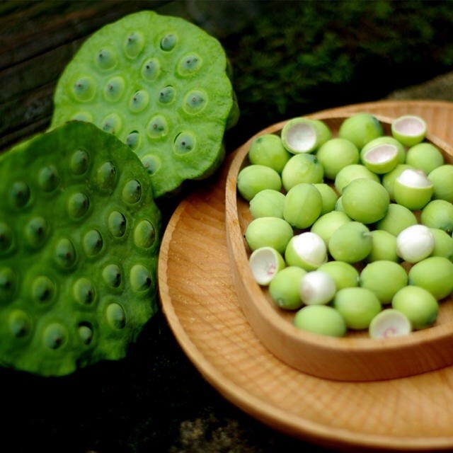 新鲜莲子 江西特产 可生吃的水果莲 手工去皮去芯鲜采5斤装顺丰原产地