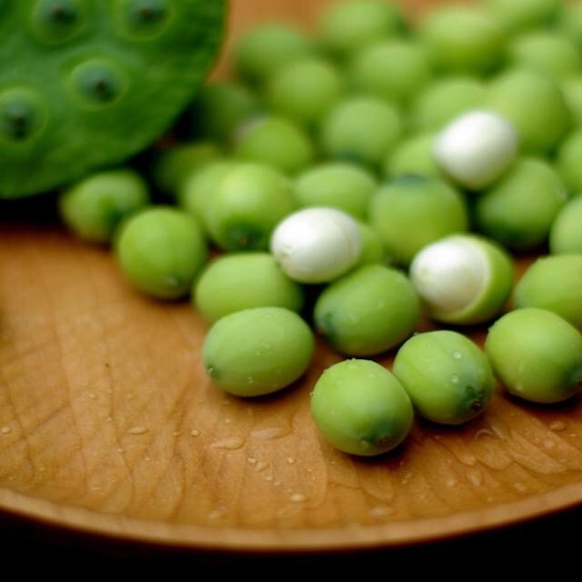 新鲜莲子 江西特产 可生吃的水果莲 手工去皮去芯鲜采5斤装顺丰原产地