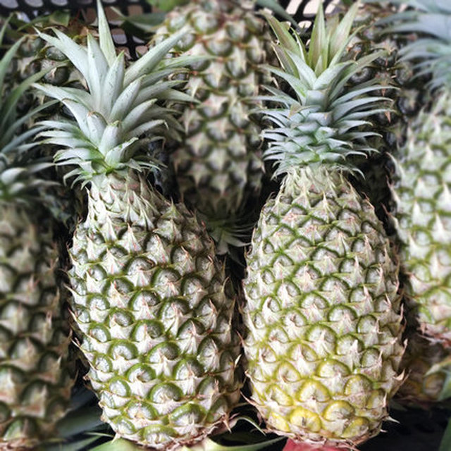 海南新鲜水果香水菠萝5斤 约3-5个(单果500g以上)