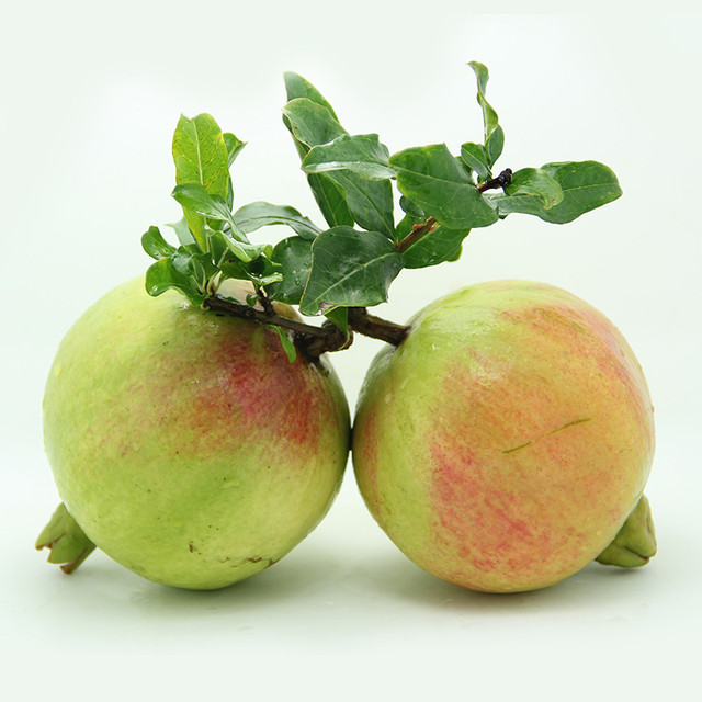 土地母亲计划 青皮石榴 5斤装