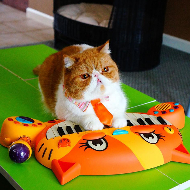 美国b.toys大嘴猫琴电子琴 bx1025z