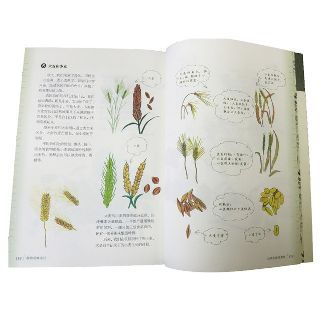 我的大自然觀察筆記:動物觀察筆記,植物觀察筆記(套裝共2冊,史家衚衕