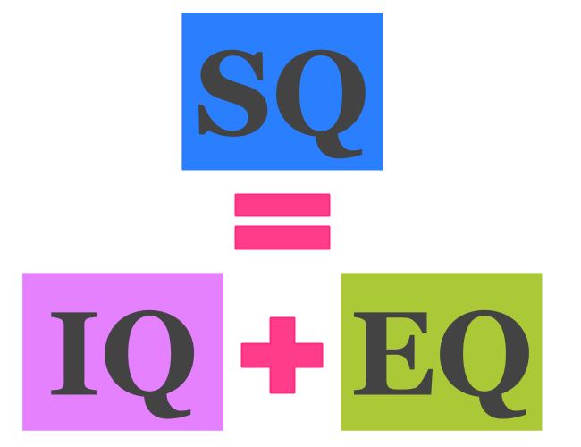 灵商(spiritual intelligence quotient,简写成sq),它是心灵智力,即